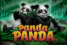 Panda Panda-Habanero